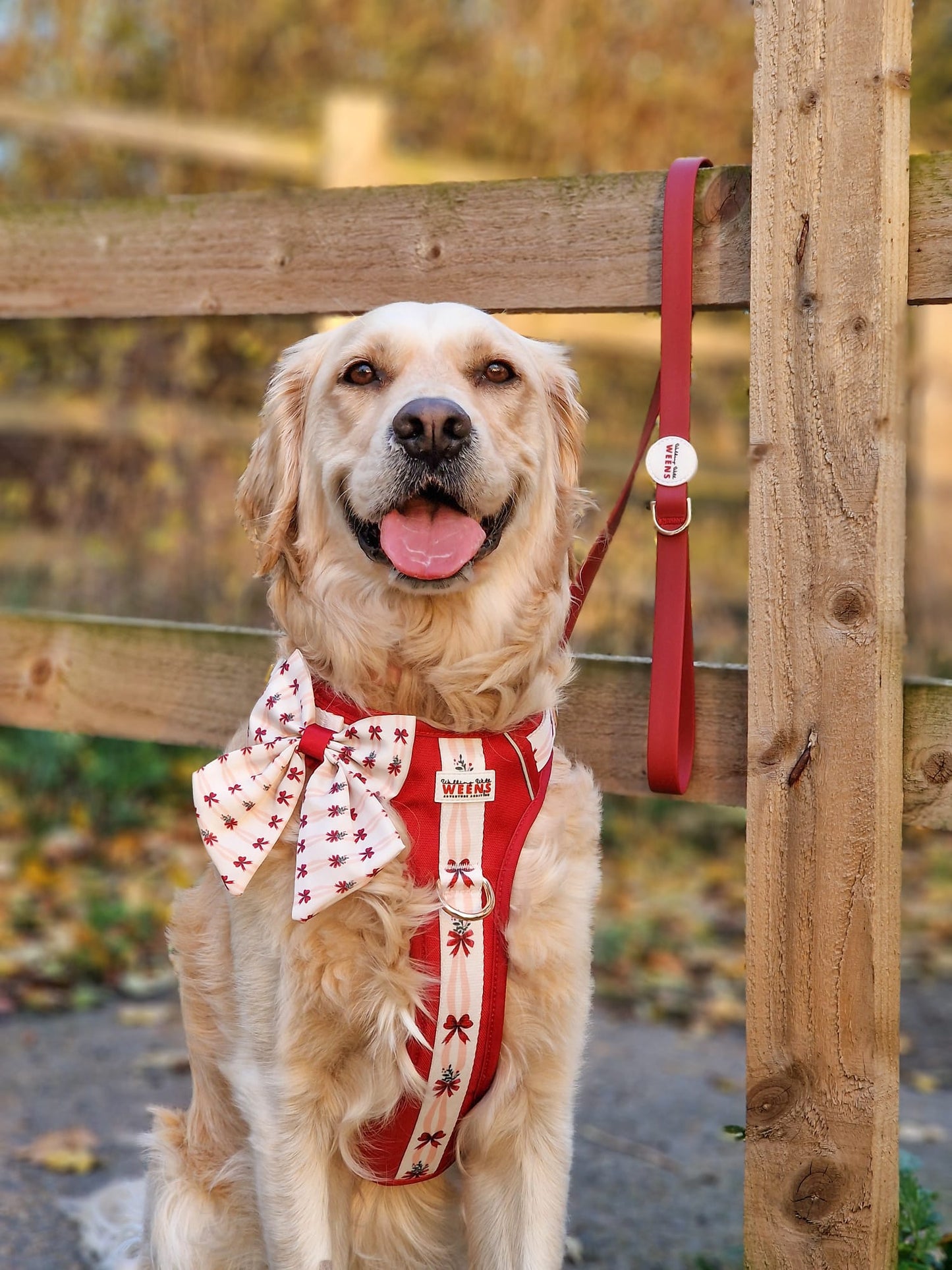 Classic Crimson - Adventure Addition