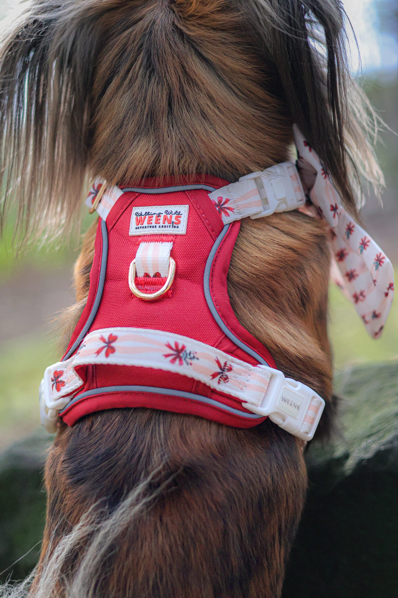 Classic Crimson - Adventure Addition