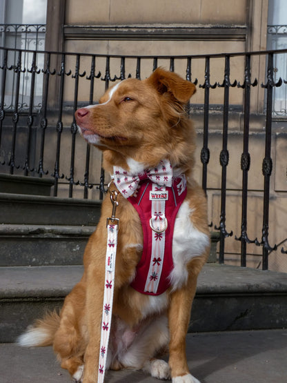 Classic Crimson - Bow Tie
