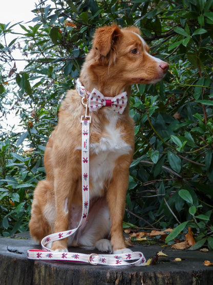 Classic Crimson - Bow Tie