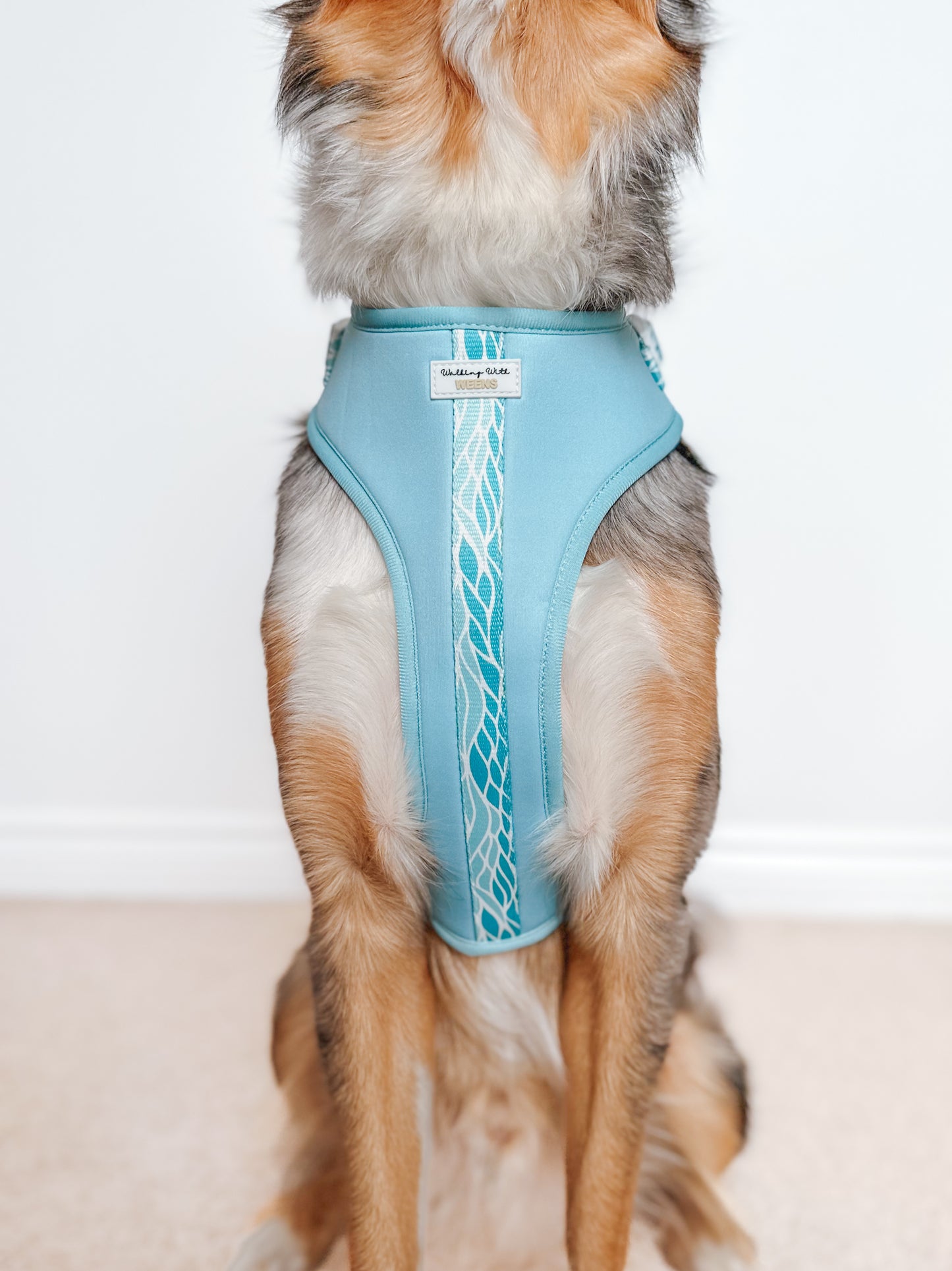 Blue Lagoon - Adjustable Harness