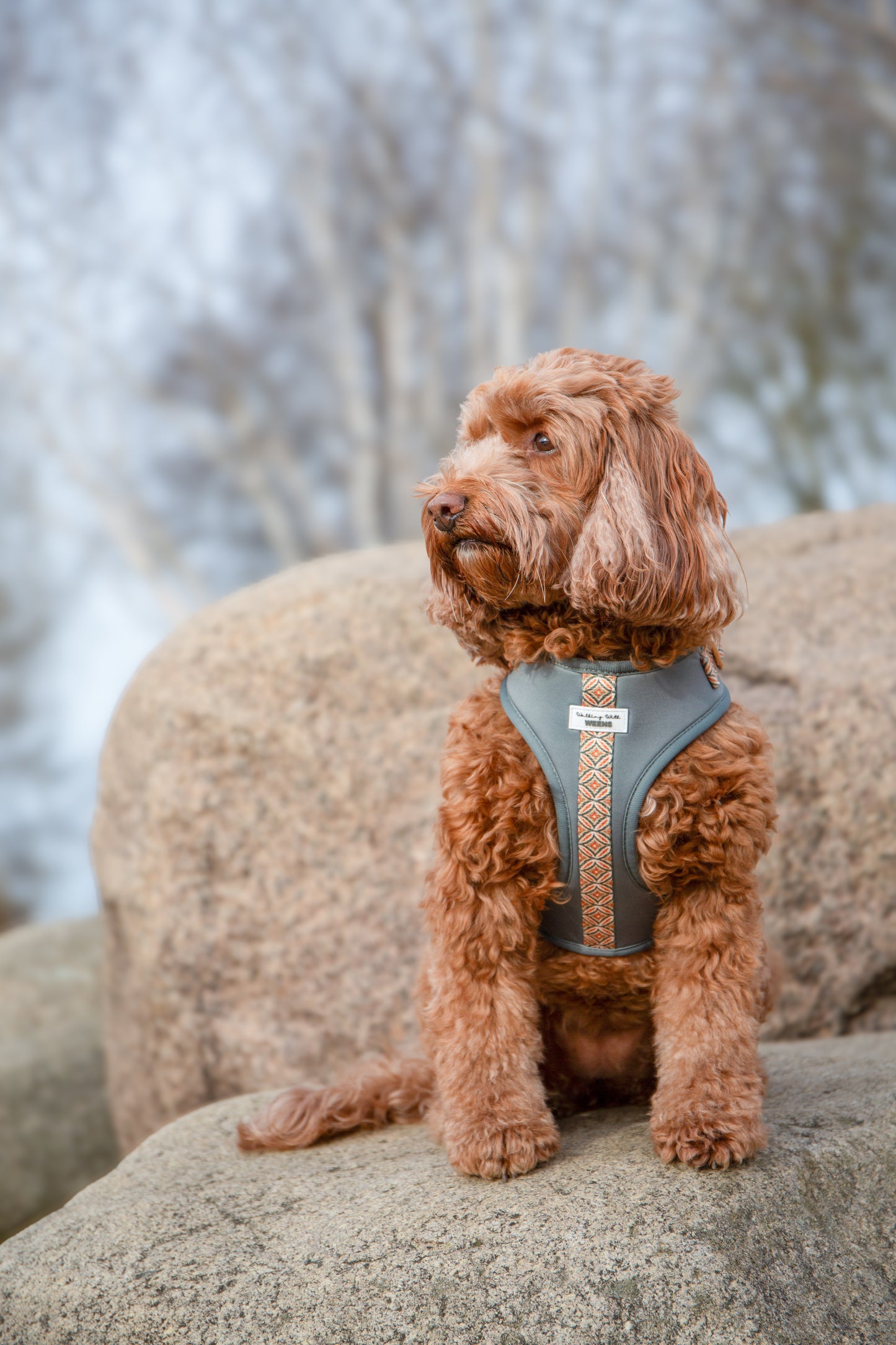 Klassic Khaki - Adjustable Harness