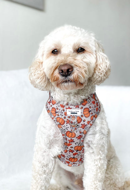 Autumn Nights - Adjustable Harness