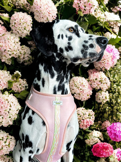 Peachy Paradise - Adjustable Harness