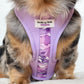 Grape Soda - Adjustable Harness