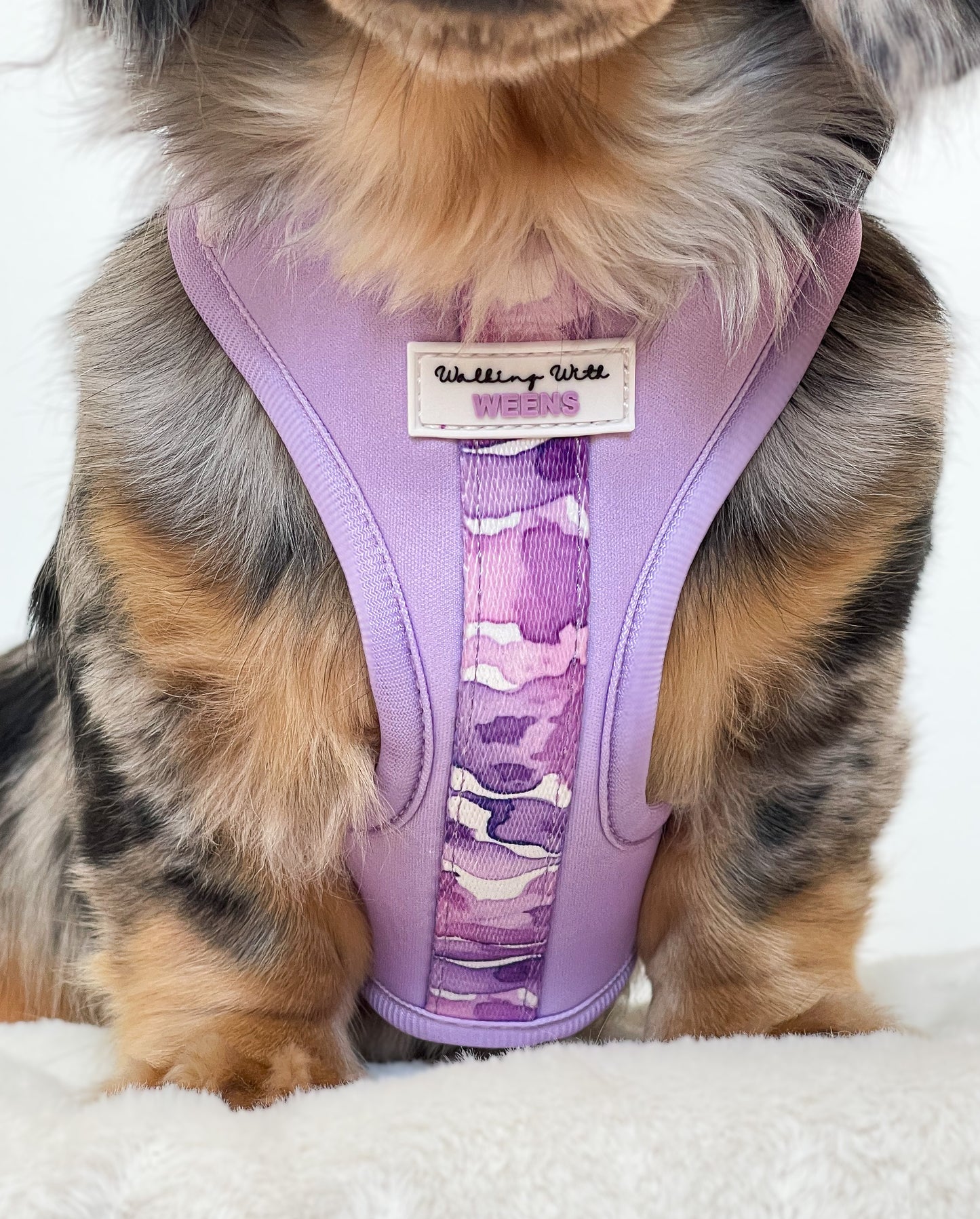 Grape Soda - Adjustable Harness