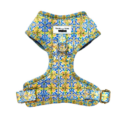 SECONDS - Venice Ventures - Adjustable Harness