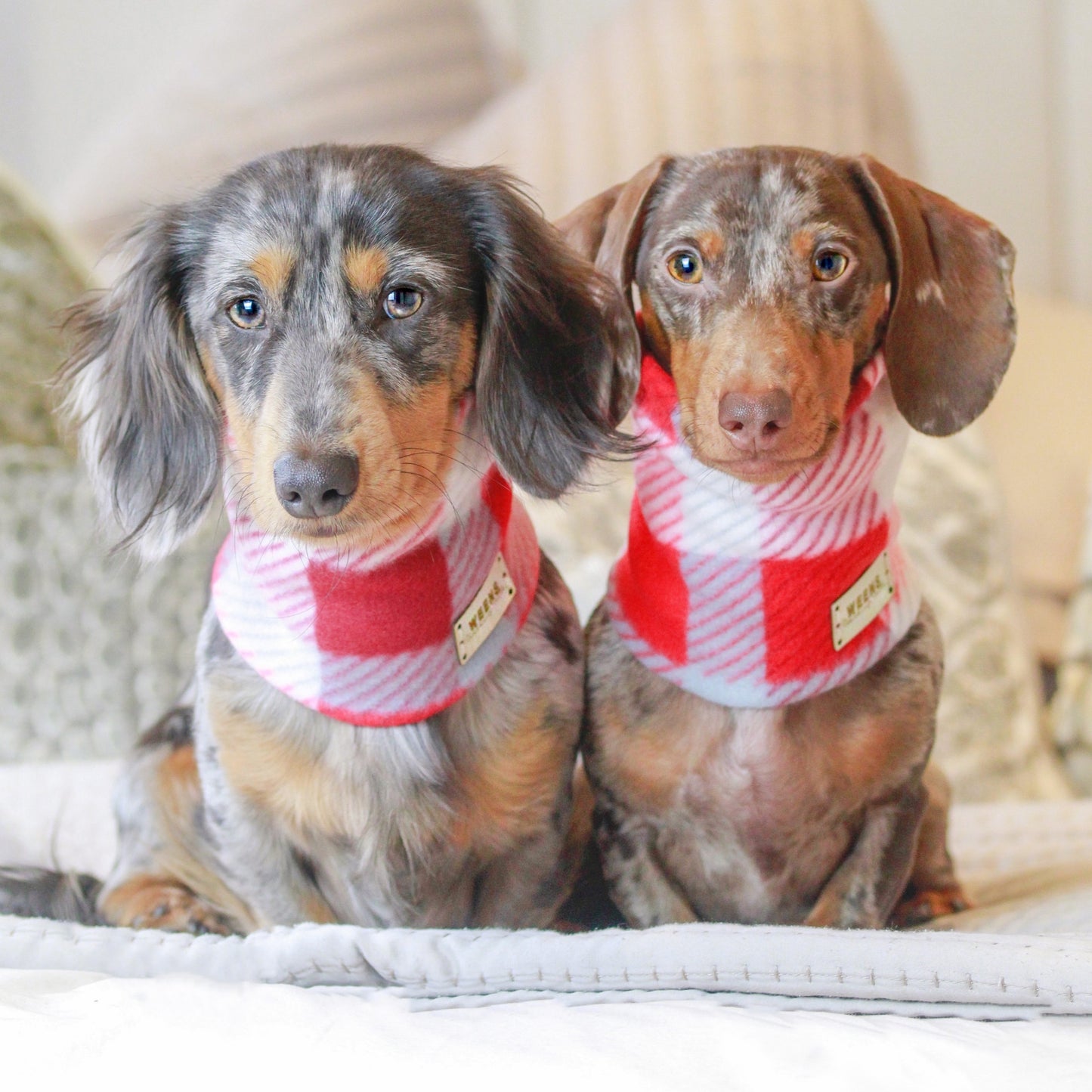 Red Tartan - Fleece Snood