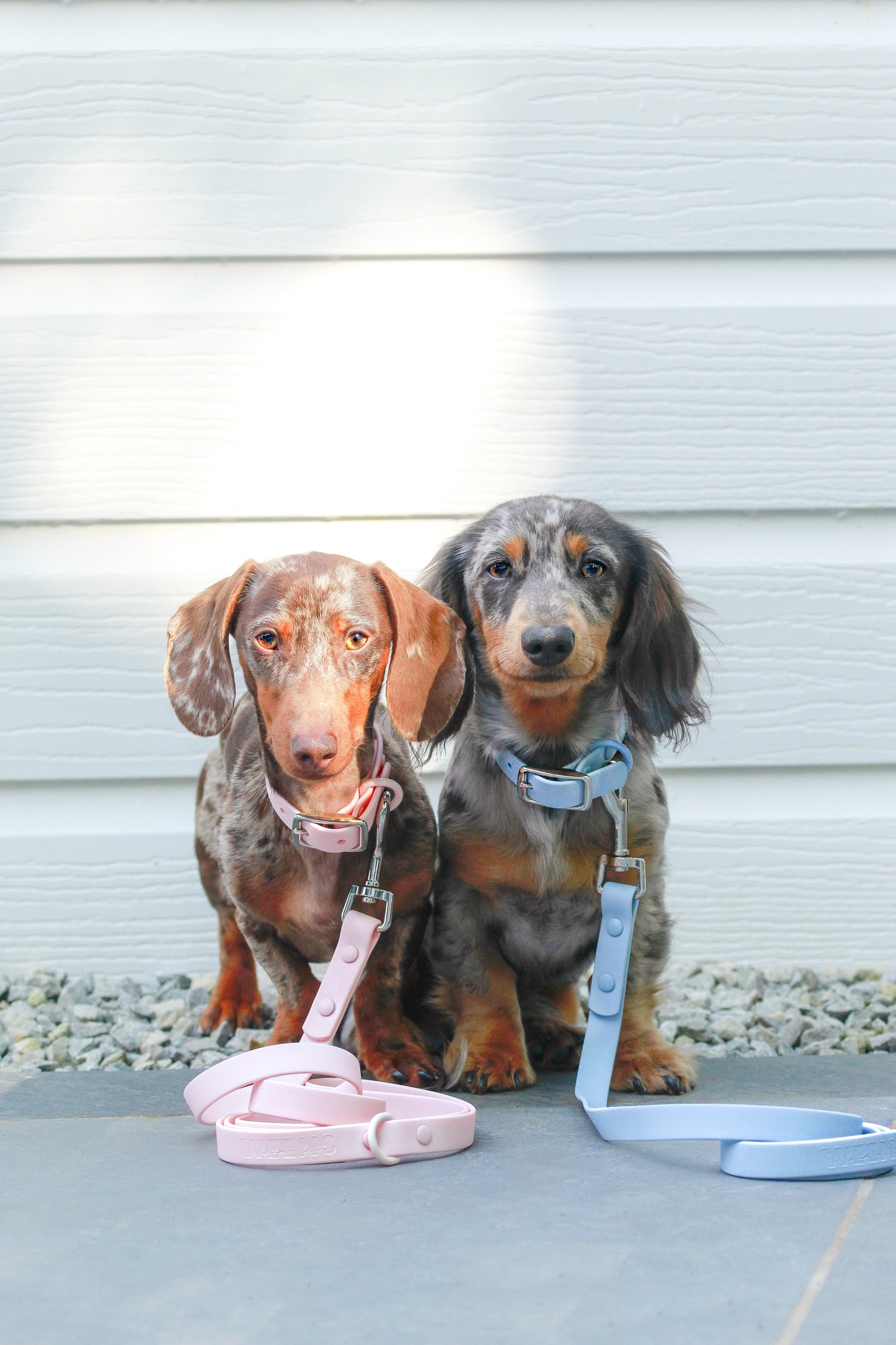 Waterproof Collar - Pastel Pink