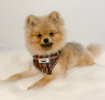 Paddington Plaid - Adjustable Harness