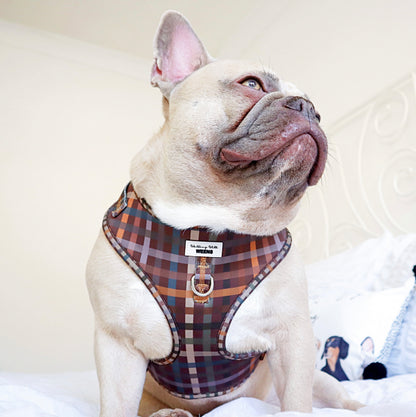 Paddington Plaid - Adjustable Harness