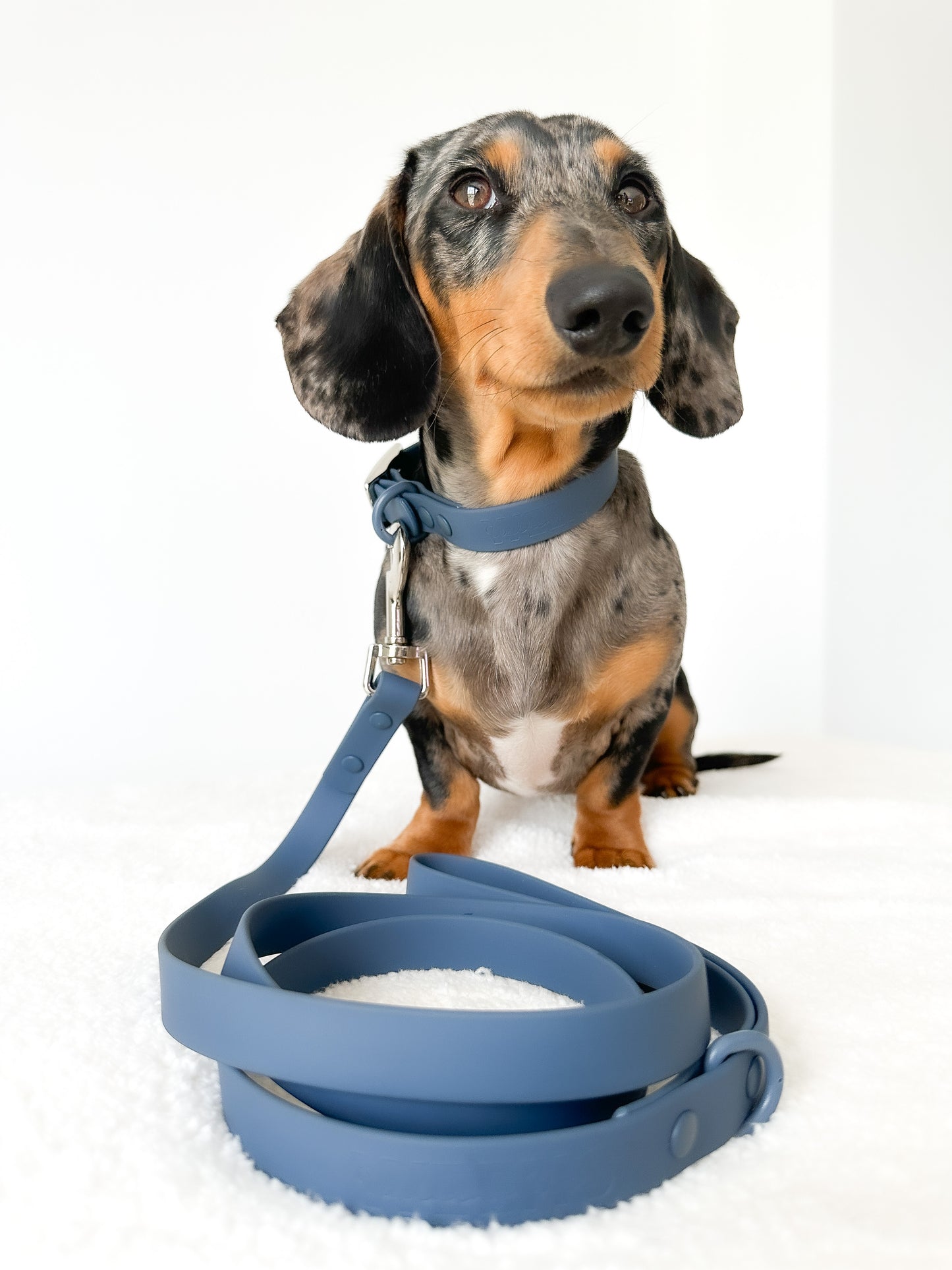 Waterproof Collar - Navy Blue